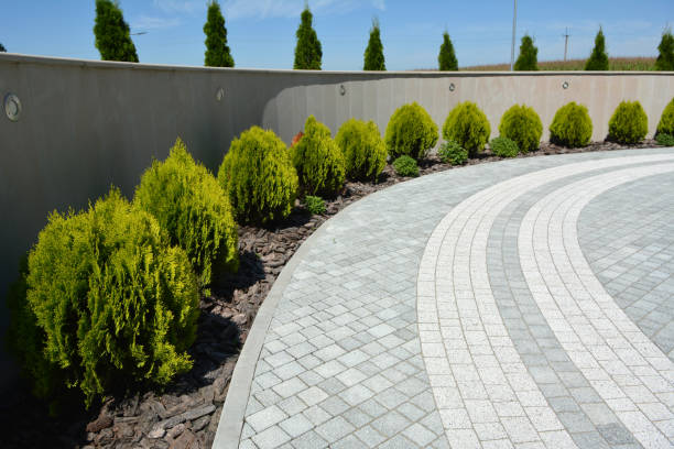 Best Custom Driveway Pavers  in Walnut Park, CA
